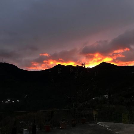 "Casa Da Russa" Mountain Experience Pensionat Vila Real Eksteriør billede