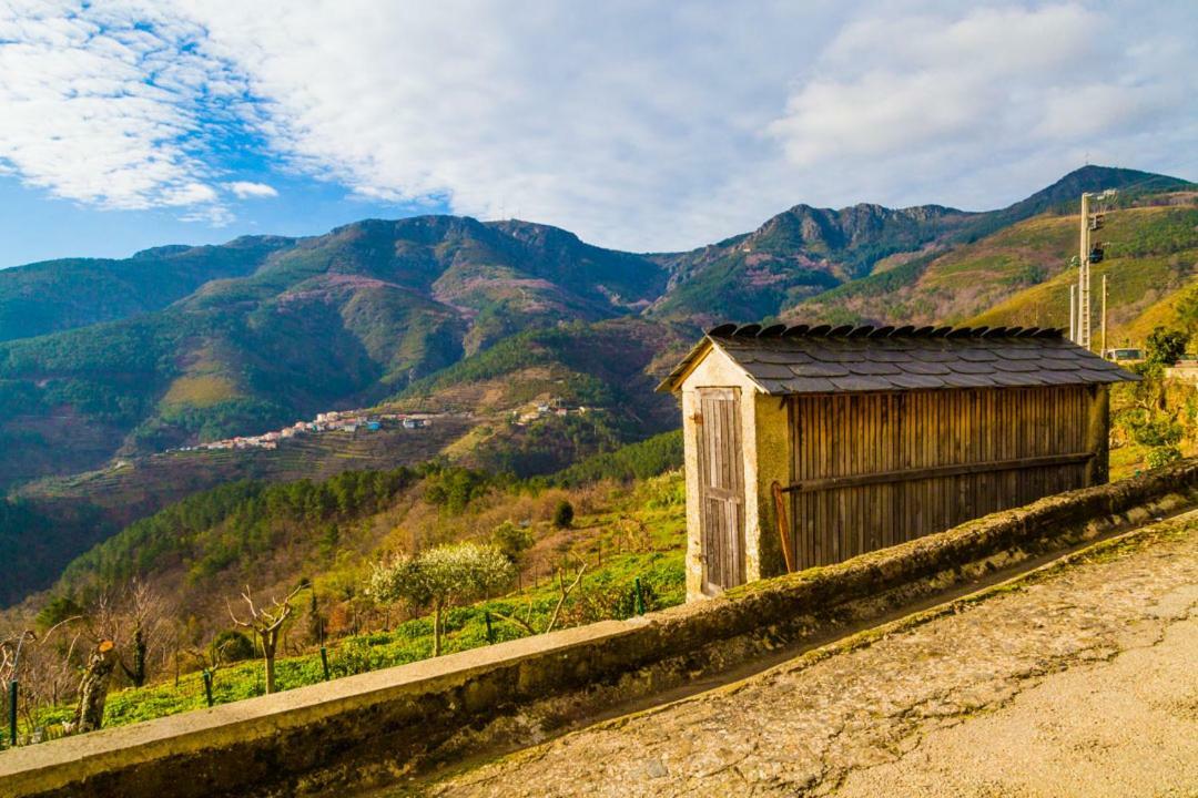 "Casa Da Russa" Mountain Experience Pensionat Vila Real Eksteriør billede