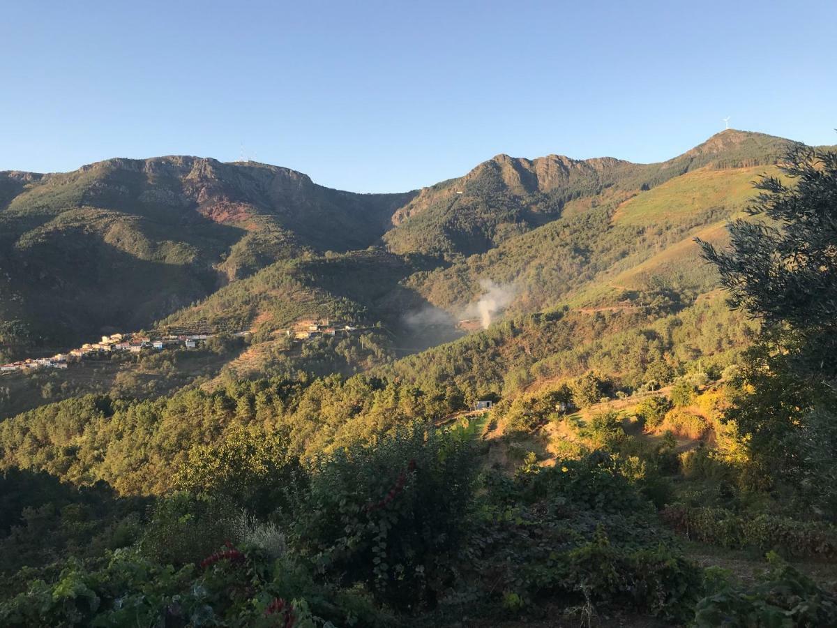 "Casa Da Russa" Mountain Experience Pensionat Vila Real Eksteriør billede